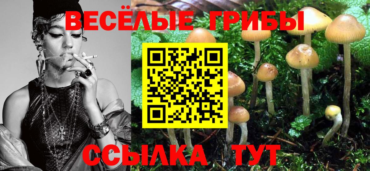 Галлюциногенные грибы MAGIC MUSHROOMS Саки