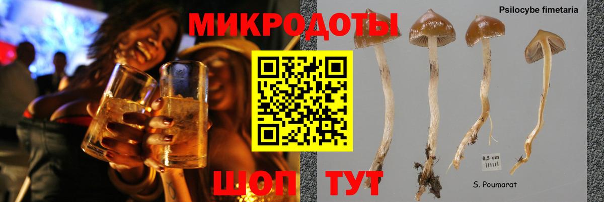 Саки  Псилоцибиновые грибы ЛСД  Вход с VPN 